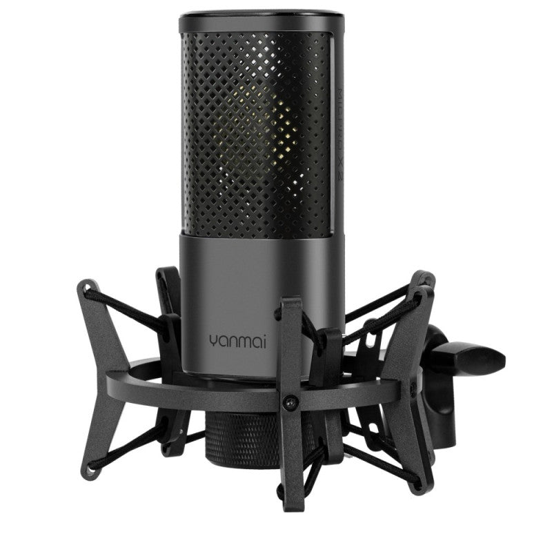 MicPro X2 - Kit de Microphone pour Enregistrement en Studio sur PC